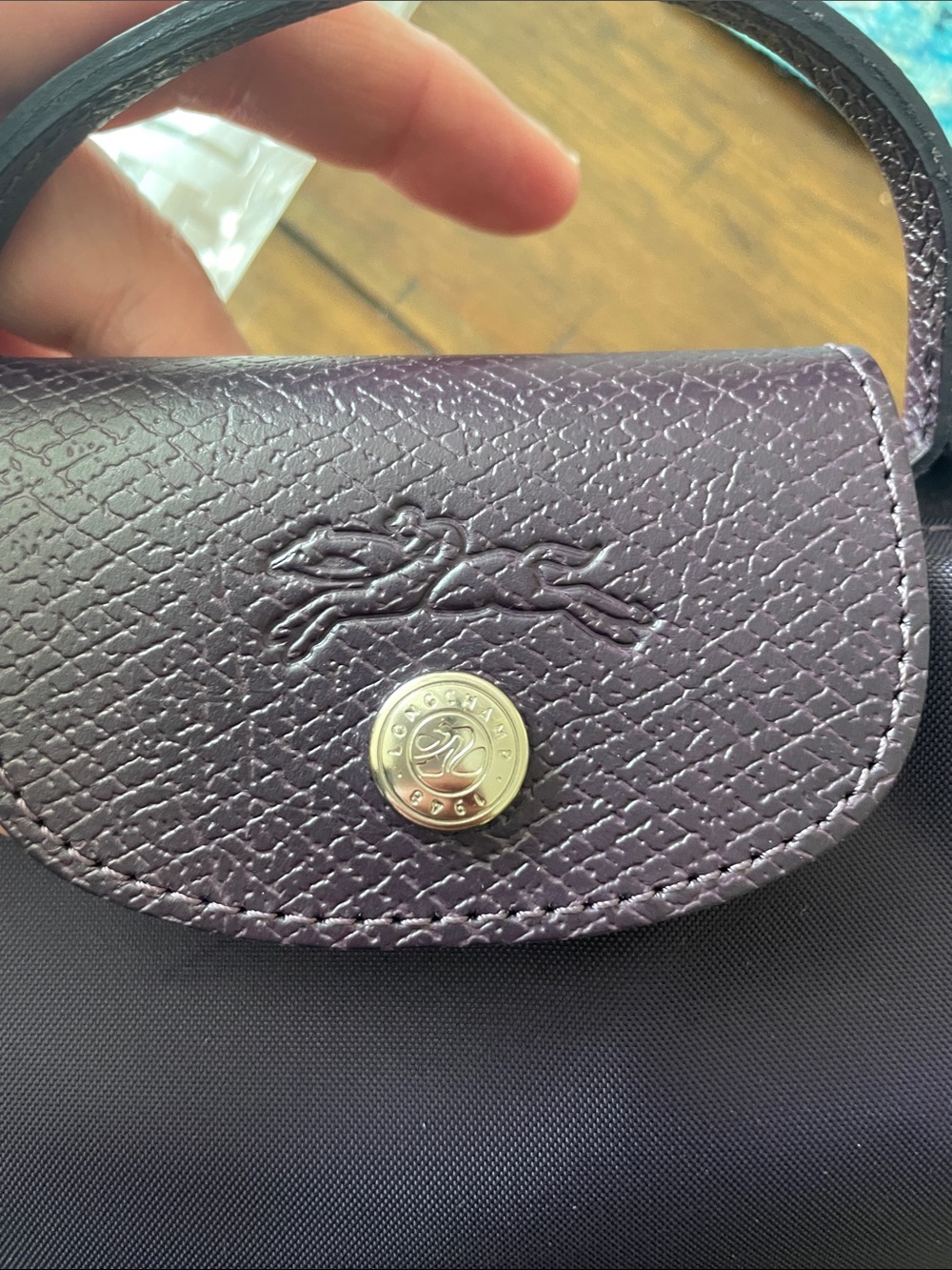 Longchamp Purple Handheld Women's Bag - Sleek Everyday Style - Picture 5 of 6
